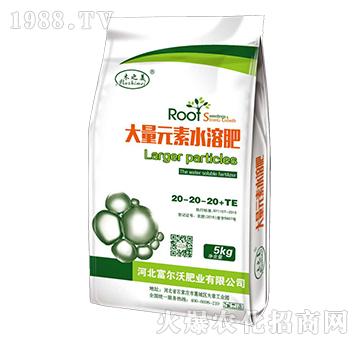 ����Ԫ��ˮ�ܷ�20-20-20+TE-������