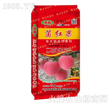 菌紅果-菌鼎-益生源