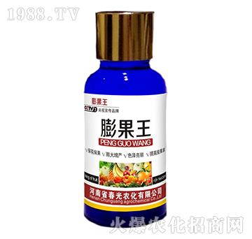 �Ϲ����-�����-����