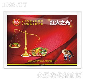 紅火之光-遠(yuǎn)見(jiàn)農(nóng)業(yè)