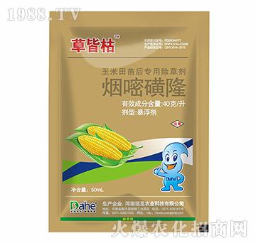 ���׻�¡-�ݽԿ�-�hҊ