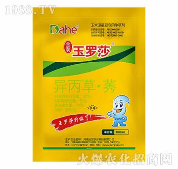 40%�����ݡ�ݬ-���b