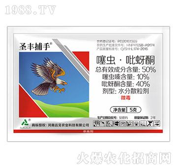 50%���x������ͪ-ʥ�S����-�h(yu��n)Ҋ�r(n��ng)�I(y��)