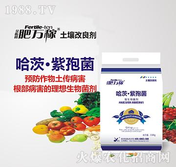 ΢�������-���ġ�����