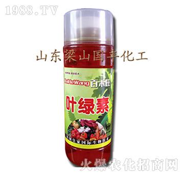 葉綠素（瓶）-梁山國豐