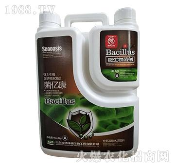 ΢�������-���|��-��᷾G��