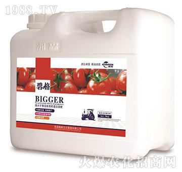 ����ʥŮ�����ø߷��ӏ�(f��)�����ЙC����Һ�ʣ�5kg��-�̸�-�ɭ�r(n��ng)�I(y��)