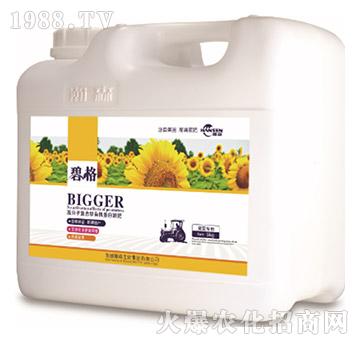 ���տ����ø߷��ӏ�(f��)�����ЙC(j��)����Һ�ʣ�5kg��-�̸�-�ɭ�r(n��ng)�I(y��)