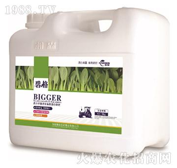 �~�ˌ��ø߷��ӏͺ����ЙC����Һ�ʣ�5kg��-�̸�-�ɭ�r�I(y��)