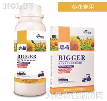 ���տ����ø߷��ӏͺ����ЙC����Һ��-�̸�-�ɭ�r(n��ng)�I(y��)