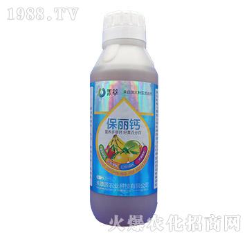 �����}-����