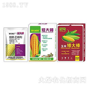 玉米生長調(diào)節(jié)劑-矮大棒-萱化威遠