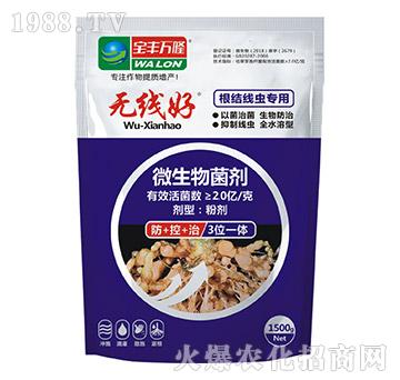 根結(jié)線蟲(chóng)專(zhuān)用微生物菌劑-無(wú)線好-寶豐萬(wàn)隆