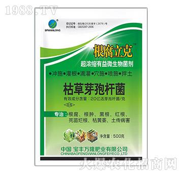 超濃縮有益微生物菌劑-根腐立克-寶豐萬隆