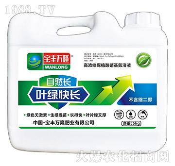 葉綠快長-自然長-寶豐萬隆