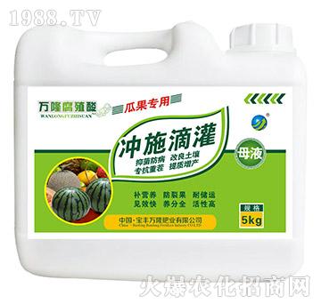 瓜果專用腐植酸母液-沖施滴灌-寶豐萬隆