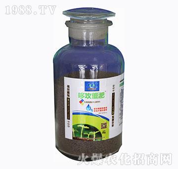 含腐殖酸水溶肥料-哆攻螚淝-（瓶）-中誠(chéng)國(guó)聯(lián)