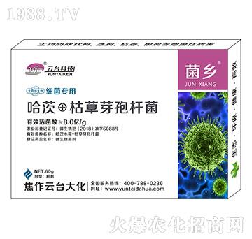 ��(x��)����(zhu��n)�þ��l(xi��ng)-���_(t��i)��