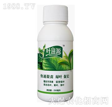 葉滋源-藍翠農科