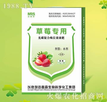 草莓專用光碳促合酶長效液肥-邁睿森