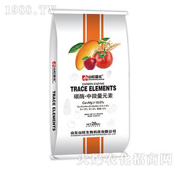 ̼ø����΢��Ԫ��-ɽ������