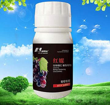 �tý���ь���-�Z���S