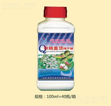 秋桃蓋頂拽不掉-萬(wàn)泉農(nóng)化