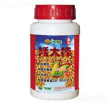 矮大棒-農(nóng)翁樂(lè)