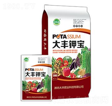 大豐鉀寶-田園季豐-大豐肥業(yè)