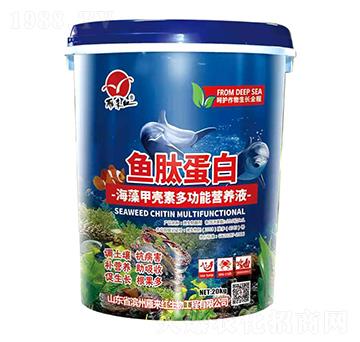 海藻甲殼素多功能營(yíng)養(yǎng)液-魚(yú)肽蛋白-雁來(lái)紅