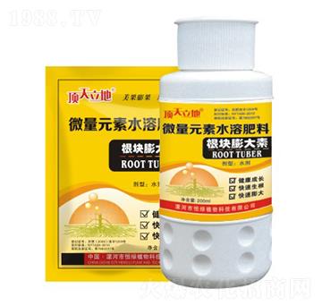 根塊膨大素-頂天立地-恒綠植物