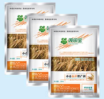 С���ι�(ji��)�ڌ�(zhu��n)����-���-�����S��