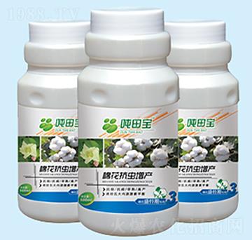 �޻�ʢ��ڌ�����-���-�����S��