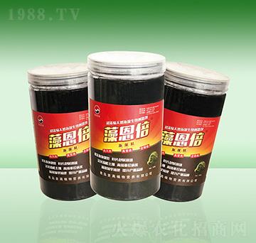 ����������徫-���u����