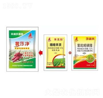 紅薯田雜草解決方案-禾闊莎通除-喜豐收