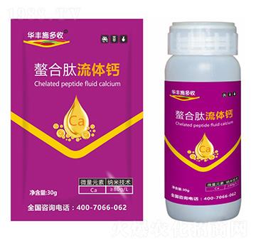 ���������w�}-�A�Sʩ���S-�滯���h(yu��n)