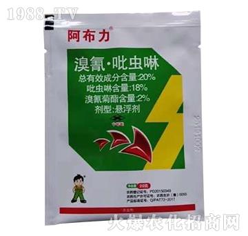 20�����衤���x(ch��ng)��-������-С����