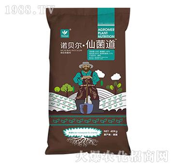 �Zؐ�����ɾ���