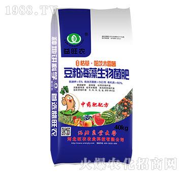 ���ɺ����������-�����r(n��ng)-���r(n��ng)