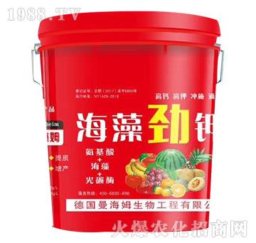 海藻勁鉀-旺農(nóng)