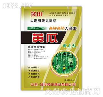 黃瓜嫩直長(zhǎng)-笑田