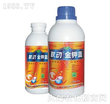 ����w-(li��n)��(d��ng)-��?t��ng)����? />
                                </div>
                            </div>
                            
                            <style type=