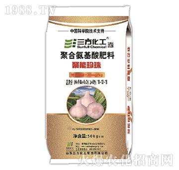 �ۺϰ��������-������