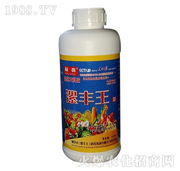 漯豐王高端液肥-標兵-漯豐王