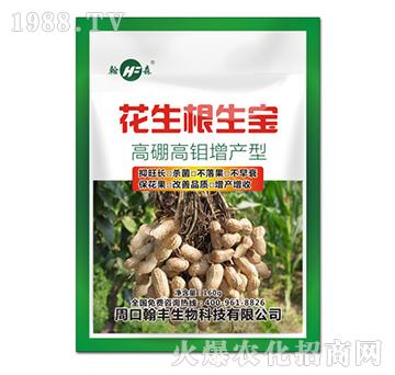 高硼高鉬增產(chǎn)型-花生根生寶-翰豐