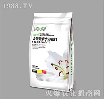 ����Ԫ��ˮ�ܷ���5-52.5+0.2MgO+TE-ʩ����