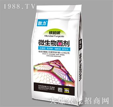 ΢�������-����̼-ʩ����