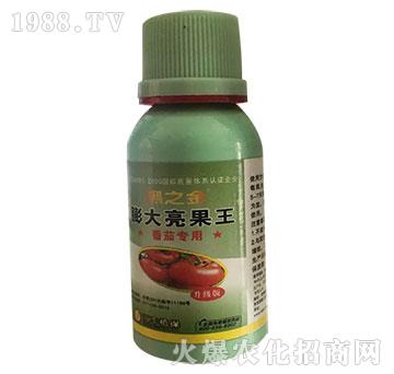 番茄專(zhuān)用-膨大亮果-黑之金-匯豐植保