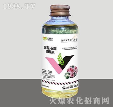 ���������������-�R�Sֲ��