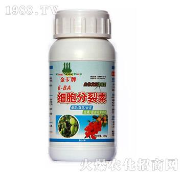細(xì)胞分裂素-金卡-德?tīng)柹? />
</div>
</div>
<style type=